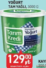 TARIM KREDİ YOĞURT TAM YAĞLI 3000 G